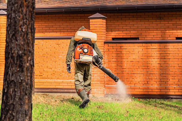 Top rated local Wasp Removal specialists in Columbus, GA
